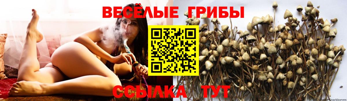 Псилоцибиновые грибы GOLDEN TEACHER  Вход с VPN  Лосино-Петровский 